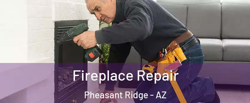 Fireplace Repair Pheasant Ridge - AZ