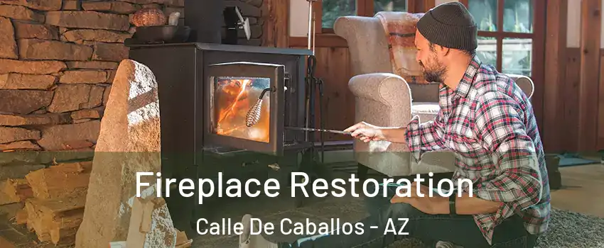 Fireplace Restoration Calle De Caballos - AZ