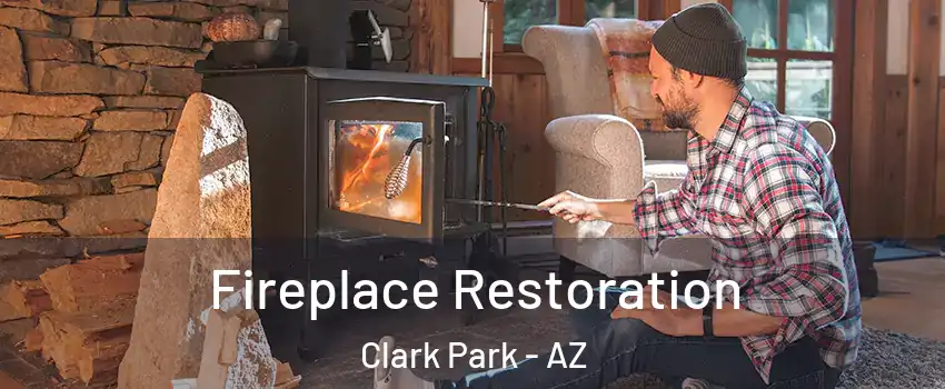 Fireplace Restoration Clark Park - AZ