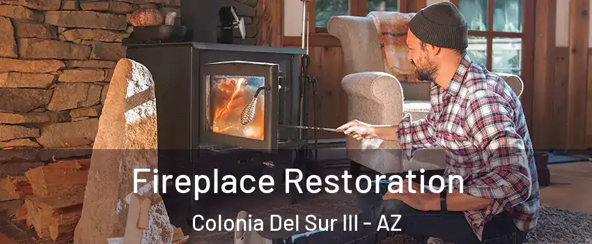 Fireplace Restoration Colonia Del Sur III - AZ