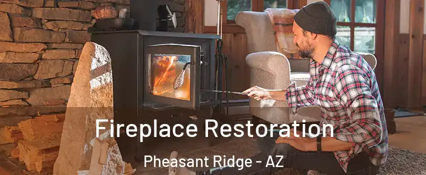 Fireplace Restoration Pheasant Ridge - AZ