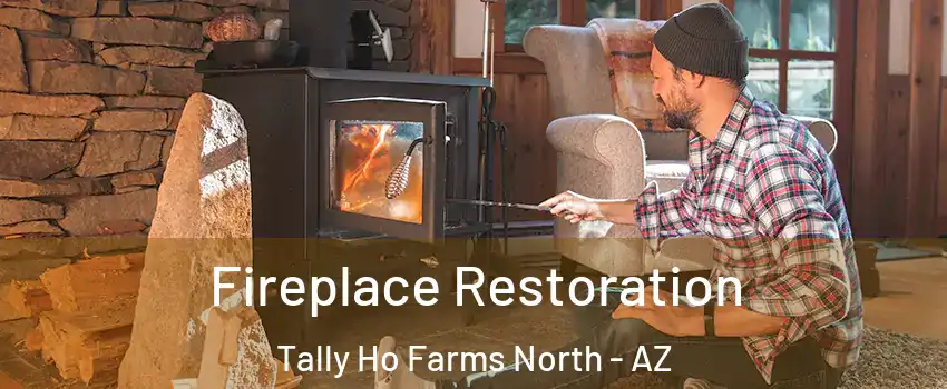 Fireplace Restoration Tally Ho Farms North - AZ