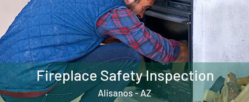 Fireplace Safety Inspection Alisanos - AZ