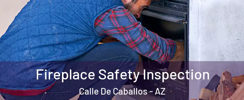 Fireplace Safety Inspection Calle De Caballos - AZ
