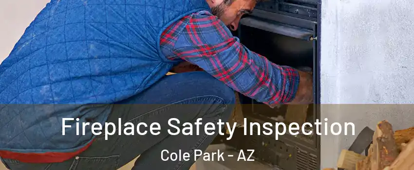 Fireplace Safety Inspection Cole Park - AZ