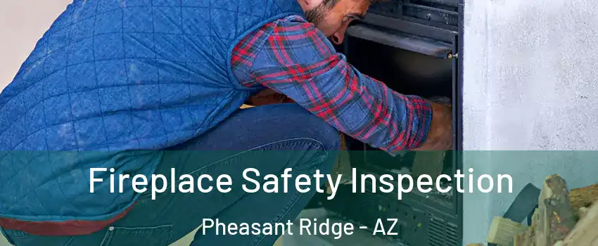 Fireplace Safety Inspection Pheasant Ridge - AZ