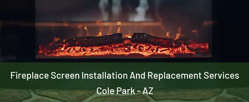 Fireplace Screen Installation And Replacement Services Cole Park - AZ