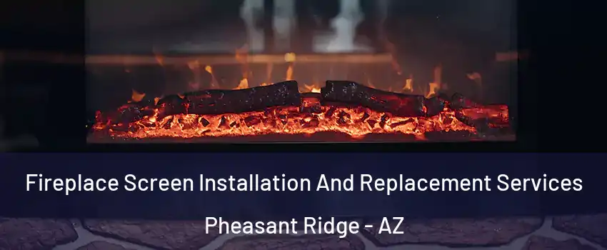 Fireplace Screen Installation And Replacement Services Pheasant Ridge - AZ