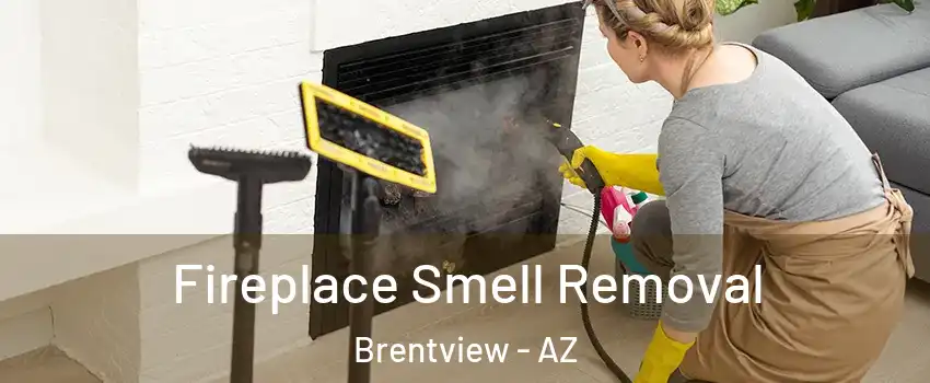 Fireplace Smell Removal Brentview - AZ