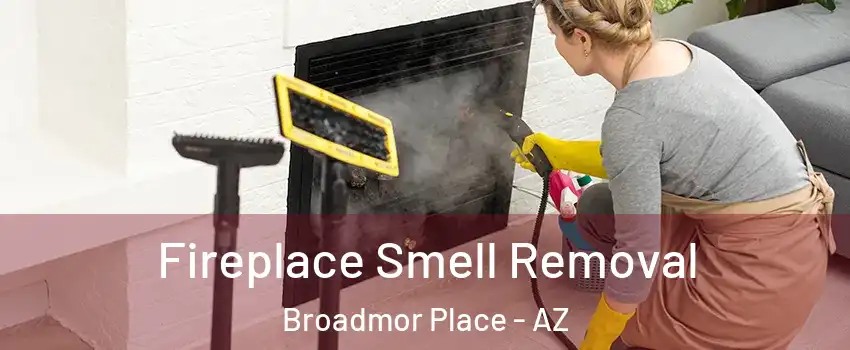 Fireplace Smell Removal Broadmor Place - AZ