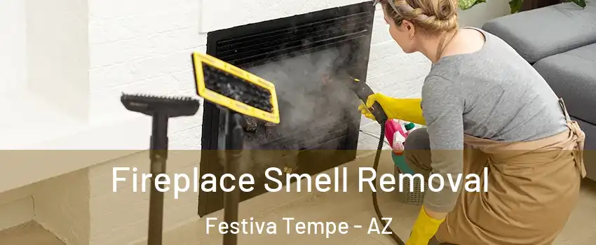Fireplace Smell Removal Festiva Tempe - AZ