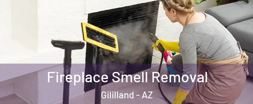 Fireplace Smell Removal Gililland - AZ