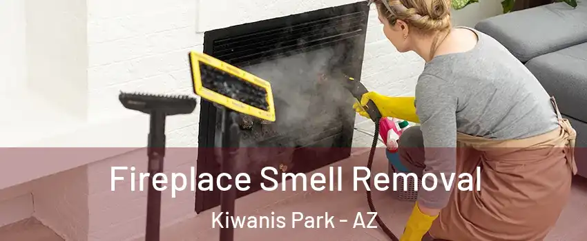 Fireplace Smell Removal Kiwanis Park - AZ