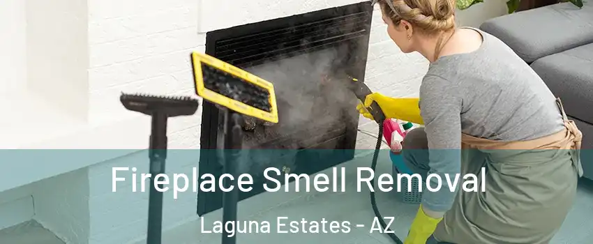 Fireplace Smell Removal Laguna Estates - AZ