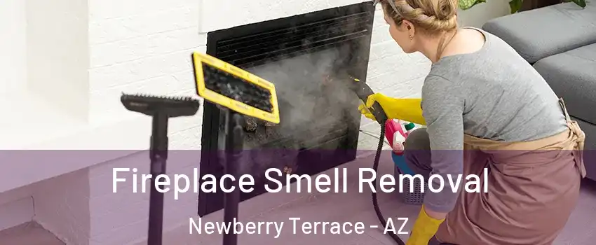 Fireplace Smell Removal Newberry Terrace - AZ