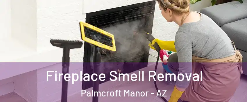 Fireplace Smell Removal Palmcroft Manor - AZ