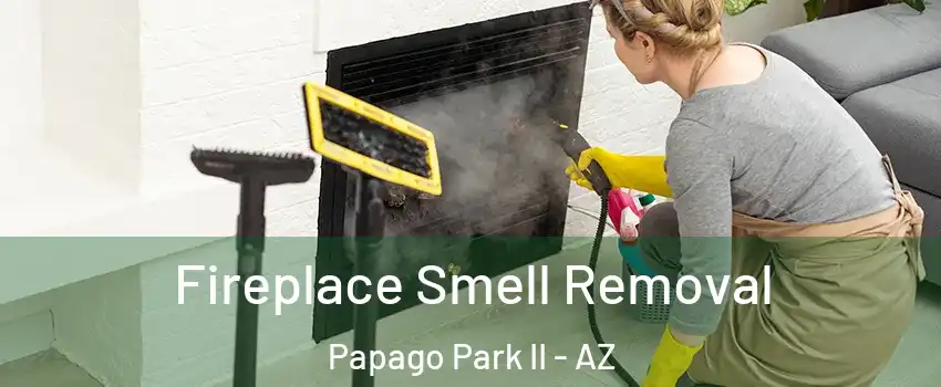 Fireplace Smell Removal Papago Park II - AZ