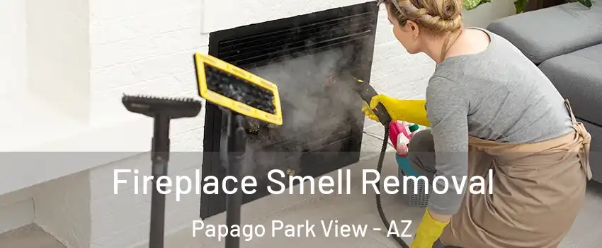 Fireplace Smell Removal Papago Park View - AZ