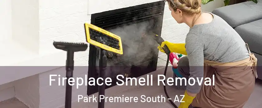 Fireplace Smell Removal Park Premiere South - AZ