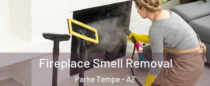 Fireplace Smell Removal Parke Tempe - AZ