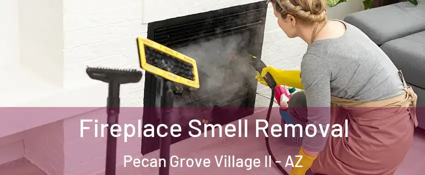 Fireplace Smell Removal Pecan Grove Village II - AZ