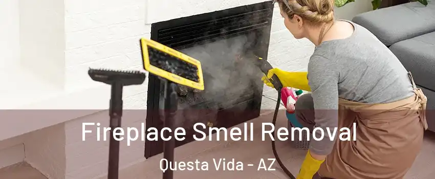 Fireplace Smell Removal Questa Vida - AZ