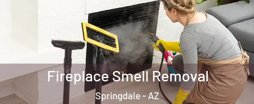 Fireplace Smell Removal Springdale - AZ