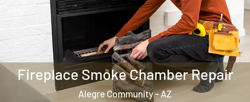 Fireplace Smoke Chamber Repair Alegre Community - AZ