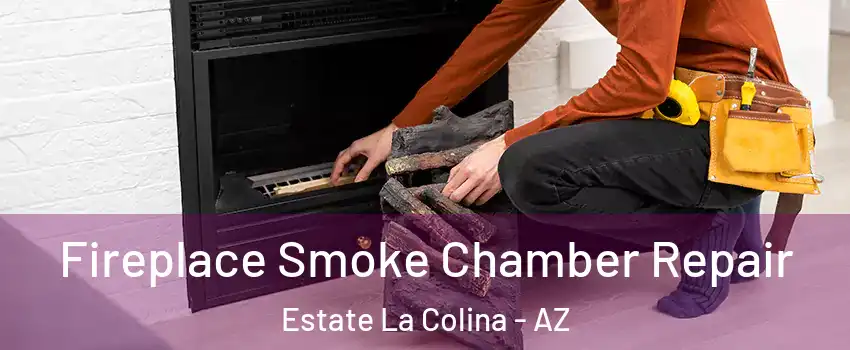 Fireplace Smoke Chamber Repair Estate La Colina - AZ