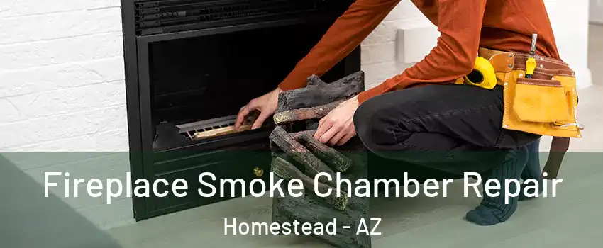 Fireplace Smoke Chamber Repair Homestead - AZ