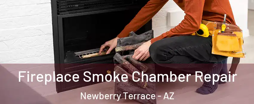 Fireplace Smoke Chamber Repair Newberry Terrace - AZ