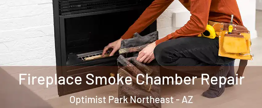 Fireplace Smoke Chamber Repair Optimist Park Northeast - AZ