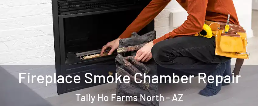 Fireplace Smoke Chamber Repair Tally Ho Farms North - AZ