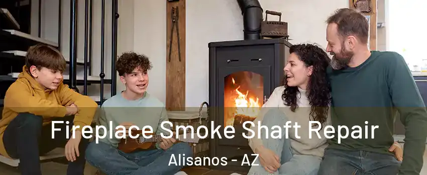 Fireplace Smoke Shaft Repair Alisanos - AZ