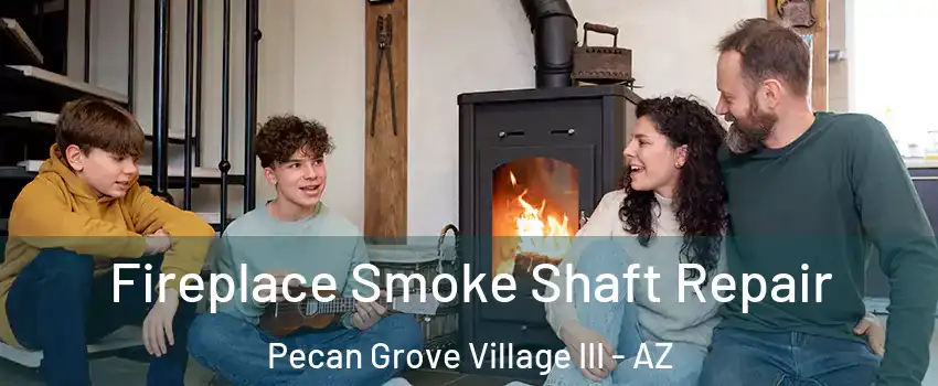 Fireplace Smoke Shaft Repair Pecan Grove Village III - AZ
