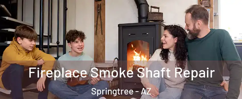 Fireplace Smoke Shaft Repair Springtree - AZ
