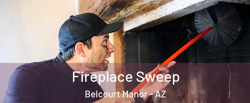Fireplace Sweep Belcourt Manor - AZ
