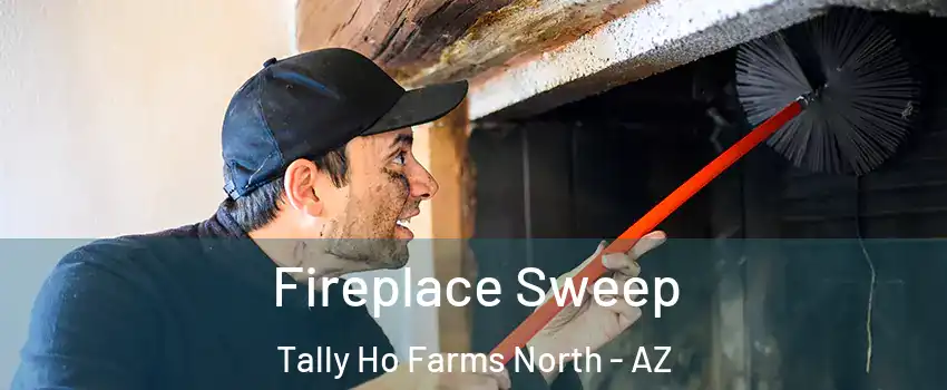 Fireplace Sweep Tally Ho Farms North - AZ