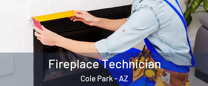 Fireplace Technician Cole Park - AZ