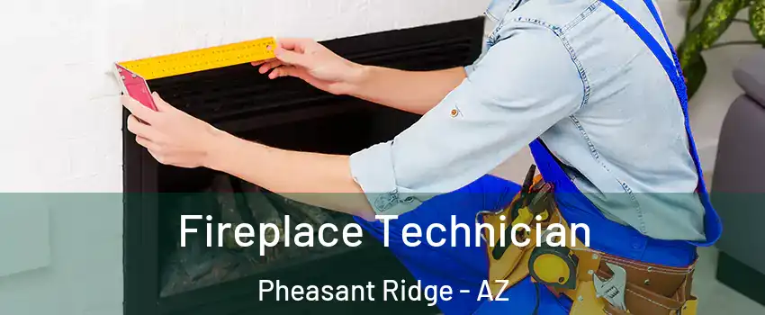 Fireplace Technician Pheasant Ridge - AZ