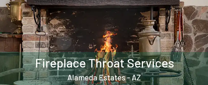 Fireplace Throat Services Alameda Estates - AZ