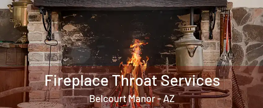 Fireplace Throat Services Belcourt Manor - AZ