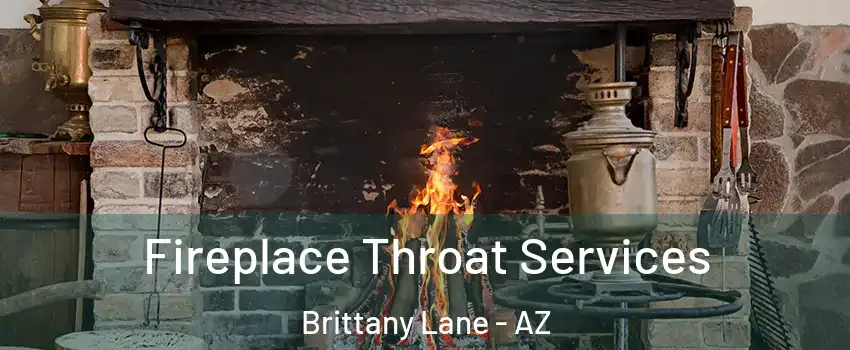 Fireplace Throat Services Brittany Lane - AZ
