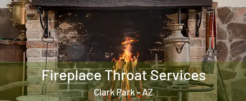 Fireplace Throat Services Clark Park - AZ