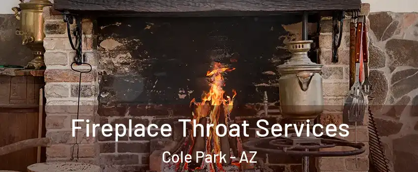Fireplace Throat Services Cole Park - AZ