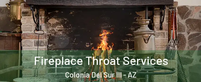 Fireplace Throat Services Colonia Del Sur III - AZ