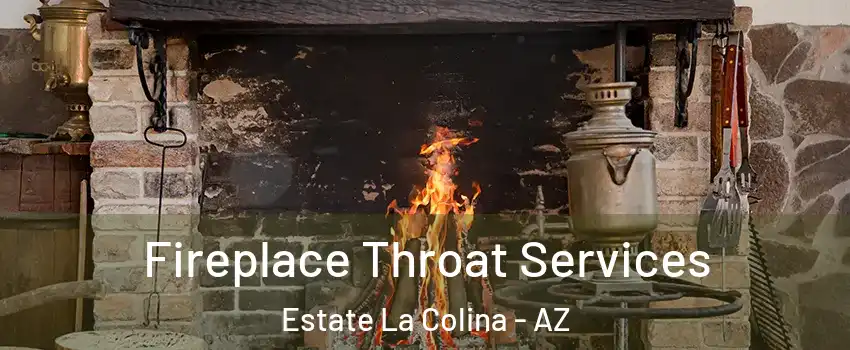 Fireplace Throat Services Estate La Colina - AZ