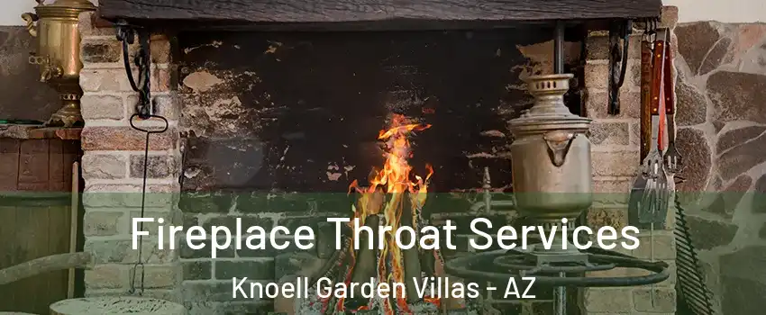 Fireplace Throat Services Knoell Garden Villas - AZ