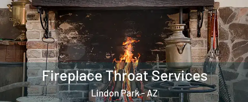 Fireplace Throat Services Lindon Park - AZ
