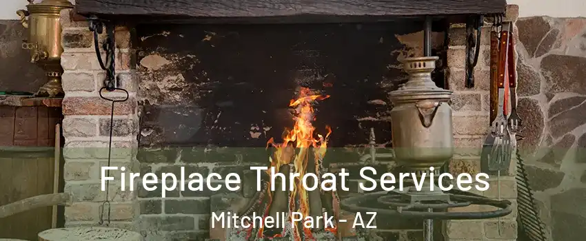 Fireplace Throat Services Mitchell Park - AZ